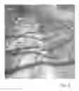 Fig. 07 - Hazard detection from a camera in a scene with moving shadows