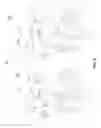 Fig. 09 - Multi-modal neural network for universal, online learning