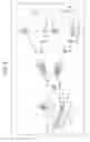 Fig. 04 - Image processing apparatus and image processing method