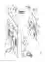 Fig. 04 - BACKDROP COLOR DETECTION