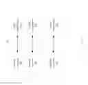 Fig. 06 - Full duplex communication for conversation between chatbot and human