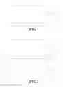Fig. 02 - DISPLAY PANEL AND MANUFACTURING PROCESS THEREOF