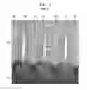 Fig. 02 - Controlling gate profile by inter-layer dielectric (ILD) nanolaminates