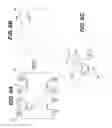 Fig. 07 - Semiconductor layer including compositional inhomogeneities