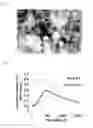 Fig. 02 - COMPOSITIONS AND USES THEREOF