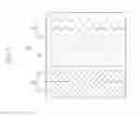 Fig. 02 - NEGATIVE ELECTRODE ACTIVE MASS FOR RECHARGEABLE BATTERY, NEGATIVE ELECTRODE FOR RECHARGEABLE BATTERY, AND RECHARGEABLE BATTERY