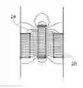 Fig. 01 - VACUUM PUMP ASSEMBLY