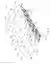 Fig. 02 - Hybridized canopy
