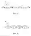 Fig. 02 - NONLINEAR SIGNAL FILTERING