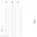 Fig. 09 - DETECTION DEVICE, PROTECTION SYSTEM AND METHOD