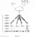 Fig. 02 - Methods and apparatus for fixed broadband communication and backhaul access with large number of antennas
