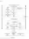 Fig. 09 - Adding images via MMS to a draft document