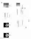 Fig. 06 - Converting biometric data into two-dimensional images for use in authentication processes