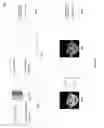 Fig. 07 - Converting biometric data into two-dimensional images for use in authentication processes