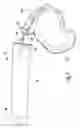 Fig. 08 - RETRACTABLE LEASH AND COLLAR OR HARNESS ASSEMBLY