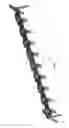 Fig. 09 - BRACKET AND ASSEMBLY FOR RECEPTACLES IN AQUEOUS FARMING SYSTEM