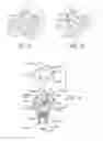 Fig. 06 - Toilet seat and hinge