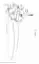 Fig. 22 - Toilet seat and hinge