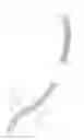 Fig. 03 - Flexible surgical instrument system