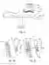 Fig. 06 - Intraoperative alignment assessment system and method