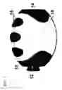 Fig. 02 - ERGONOMIC HELD WEIGHT UNITS, RELATED COMPUTING DEVICE APPLICATIONS AND METHOD OF USE