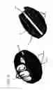 Fig. 10 - ERGONOMIC HELD WEIGHT UNITS, RELATED COMPUTING DEVICE APPLICATIONS AND METHOD OF USE