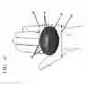Fig. 17 - ERGONOMIC HELD WEIGHT UNITS, RELATED COMPUTING DEVICE APPLICATIONS AND METHOD OF USE