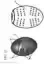 Fig. 22 - ERGONOMIC HELD WEIGHT UNITS, RELATED COMPUTING DEVICE APPLICATIONS AND METHOD OF USE