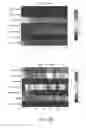 Fig. 19 - SYSTEM AND METHODS FOR EARLY DIAGNOSIS OF AUTISM SPECTRUM DISORDERS