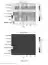 Fig. 20 - SYSTEM AND METHODS FOR EARLY DIAGNOSIS OF AUTISM SPECTRUM DISORDERS