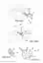 Fig. 35 - Facet joint implants and delivery tools