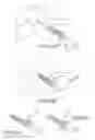 Fig. 37 - Facet joint implants and delivery tools