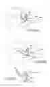 Fig. 53 - Facet joint implants and delivery tools