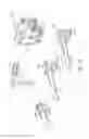 Fig. 09 - Articulating surgical instruments