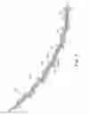 Fig. 07 - Surgical fasteners for articulating surgical instruments