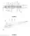 Fig. 06 - THROMBUS RETRIEVAL STENTS AND METHODS OF USING FOR TREATMENT OF ISCHEMIC STROKE