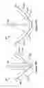 Fig. 55 - Native valve repair devices and procedures