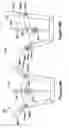 Fig. 45 - Native valve repair devices and procedures