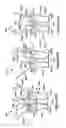 Fig. 43 - Native valve repair devices and procedures