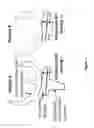 Fig. 09 - SYSTEMS AND METHODS OF IMPLANTS TO RESTORE PATIENT SPECIFIC FUNCTON