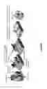 Fig. 12 - SYSTEMS AND METHODS OF IMPLANTS TO RESTORE PATIENT SPECIFIC FUNCTON