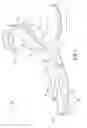 Fig. 02 - PROSTHETIC FOOT DEVICE
