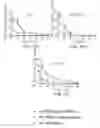 Fig. 43 - Nanolipogel comprising a polymeric matrix and a lipid shell