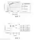 Fig. 02 - COMPOSITIONS AND METHODS FOR CONTROLLING INFECTIONS
