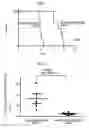 Fig. 02 - MEDICINAL DRUG, METHOD, USE, AND COMPOUND FOR PREVENTING OR CURING LEUKEMIA ASSOCIATED WITH MLL