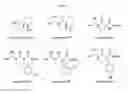 Fig. 02 - Isonitramine compound and composition containing same for preventing or treating metabolic diseases