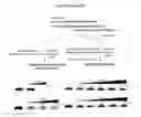 Fig. 07 - LINKED DIARYL COMPOUNDS WITH ANTICANCER PROPERTIES AND METHODS OF USING THE SAME