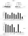 Fig. 09 - LINKED DIARYL COMPOUNDS WITH ANTICANCER PROPERTIES AND METHODS OF USING THE SAME