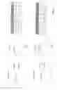 Fig. 03 - PHARMACEUTICAL COMPOSITION OF [ (3-HYDROXY-4 -PYRON-2-YL) METHYL] -AMINE DERIVATIVES AND DNA DEMETHYLATING AGENTS AND THEIR USE AS ANTI-NEOPLASTIC DRUGS