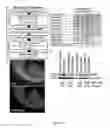 Fig. 03 - Method of promoting remyelination